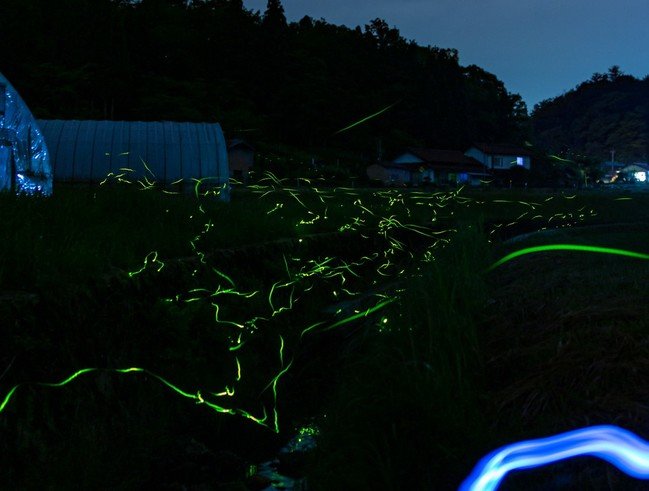 🦋 미사토 호타루칸 (美郷ほたる館) 이미지 8